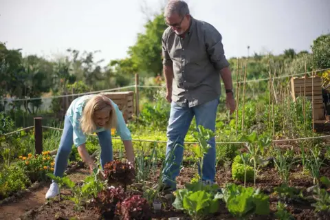 Coppia in un orto che raccoglie verdure. L'uomo osserva le piante, mentre la donna cura delle lattughe, pensando a come preparare un concime fosforo e potassio fai da te.
